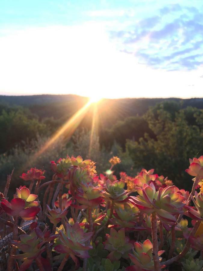 Dimora Nel Chianti Pension San Sano Buitenkant foto